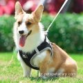 PET Products Collar Multi Specification Pet Dog Harness